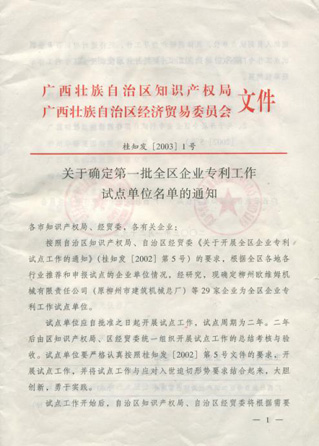 康興被廣西區(qū)經(jīng)貿(mào)委、廣西區(qū)知識產(chǎn)權(quán)局確定為＂廣西專利工作試點企業(yè)＂