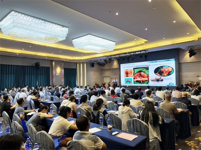 中西結(jié)合醫(yī)院、肛腸會議、肛腸疾病、盆底康復-康興醫(yī)療器械官網(wǎng)