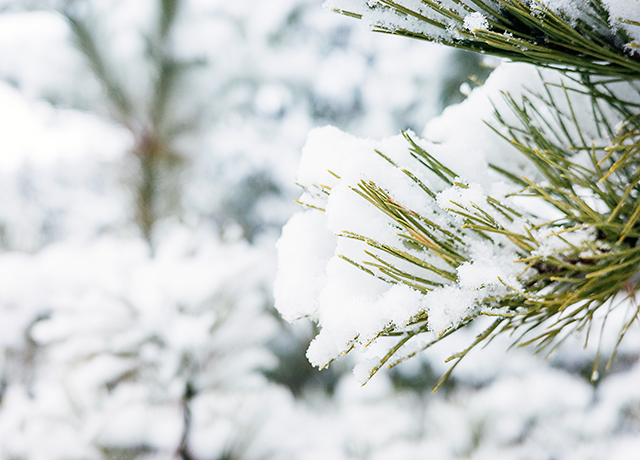 冬天、下雪、寒冷-康興醫(yī)療器械官網(wǎng)